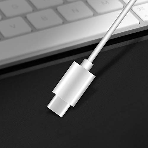 type-c-oordopjes-wit-6